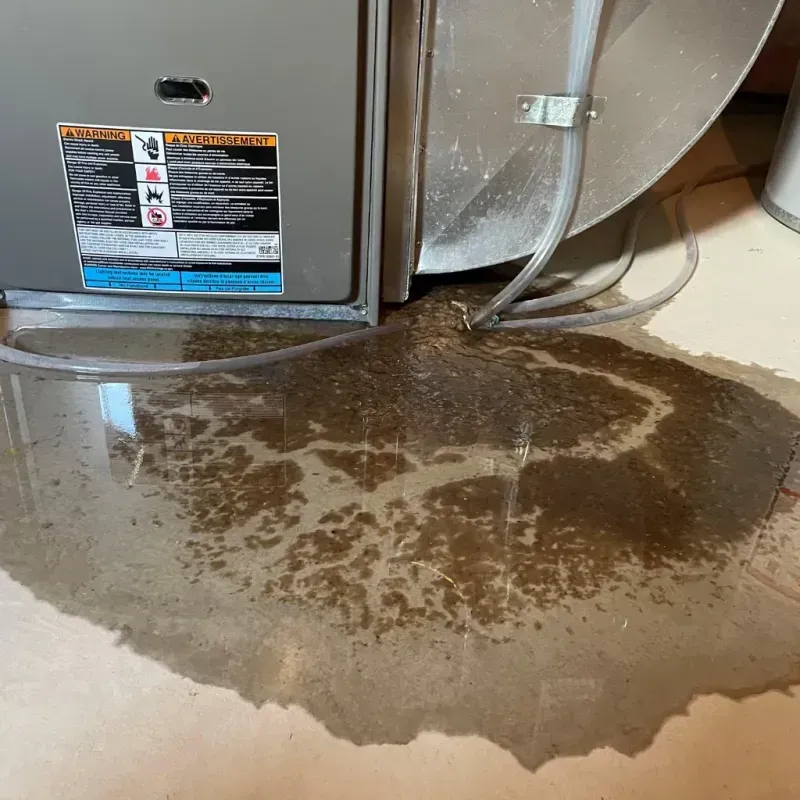 Appliance Leak Cleanup in Chatsworth, IL